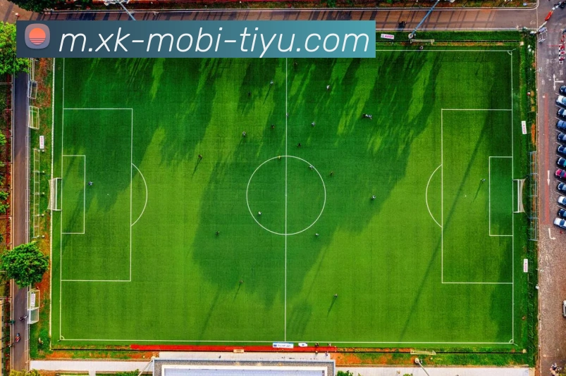 星空体育APP 高清赛事图